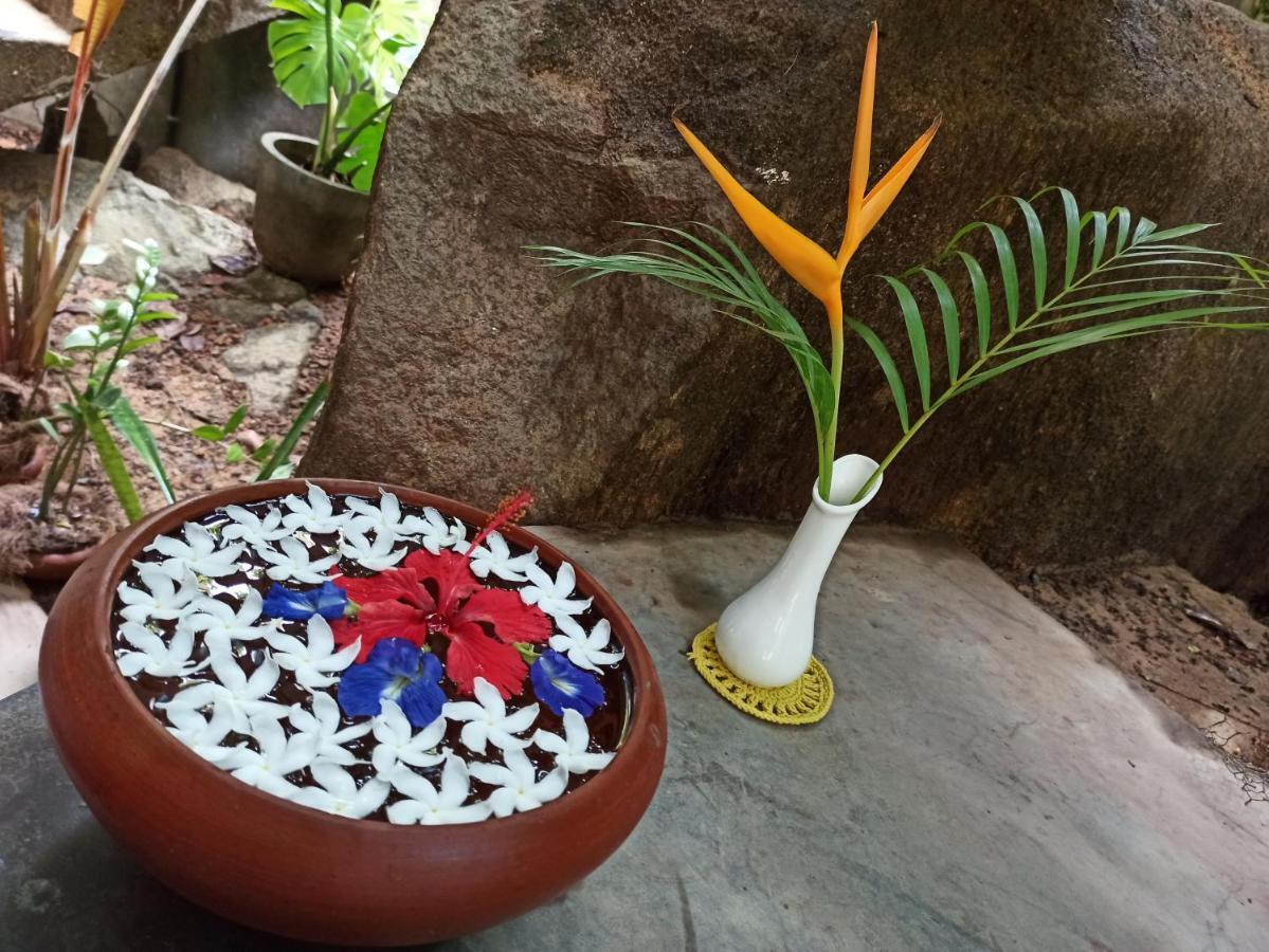 Bed and Breakfast Butterfly Jewel Unawatuna Exterior foto